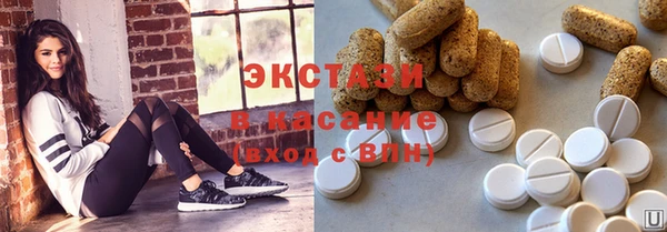 соль ск Ельня